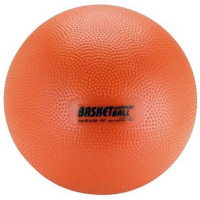 28223basketbal-basketballen-gymballen