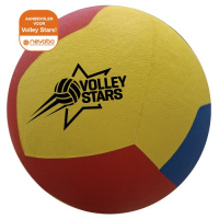 29008_volley_stars_bv_gala_minibal