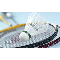 Badmintonnetten | 3 op 1 lijn