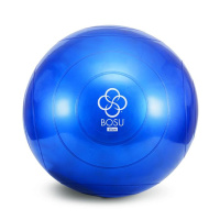 bosu-ballast