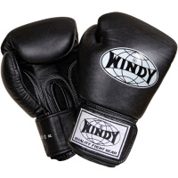 windy-bgv-black-x-removebg-preview_1800x1800