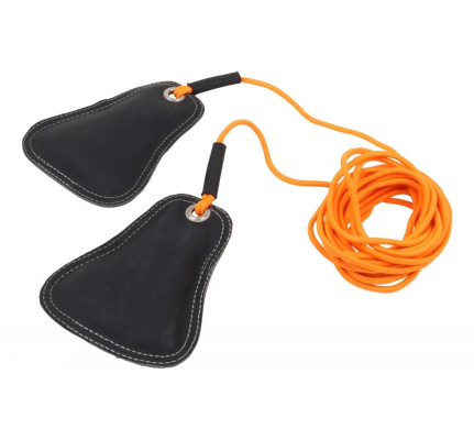 11221_hoogspringlijn