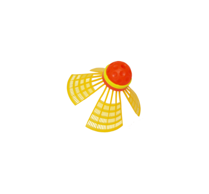 1172818972_speedminton_schoolset_speeder_3