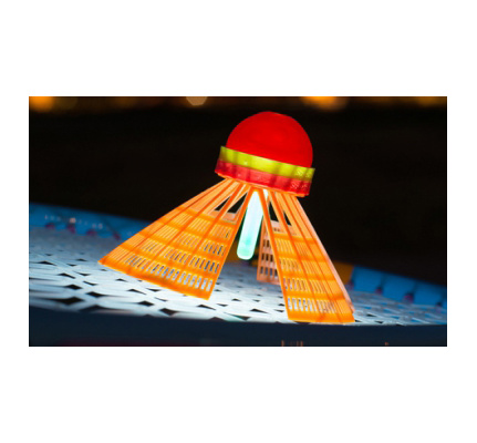 12188_speedminton_fun_speedlight