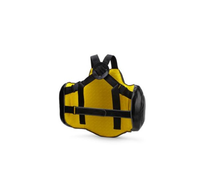 142198_bodybeschermer_everlast_1