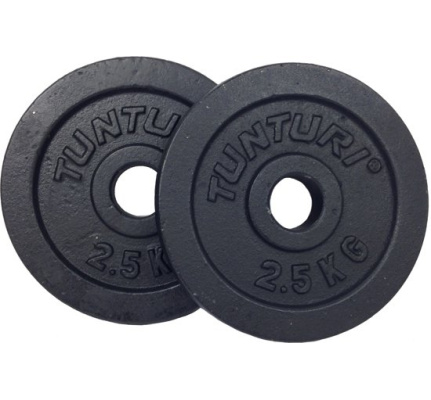 23604-halterschijf-gietijzer-tunturi