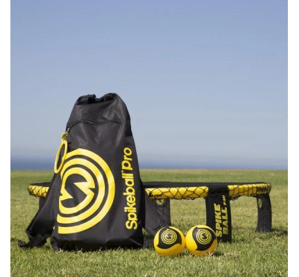 37713_spikeball_pro_buiten_leba