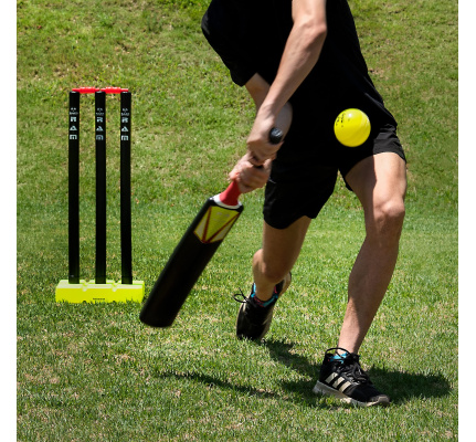 64111__cricket_batting_en_stumps