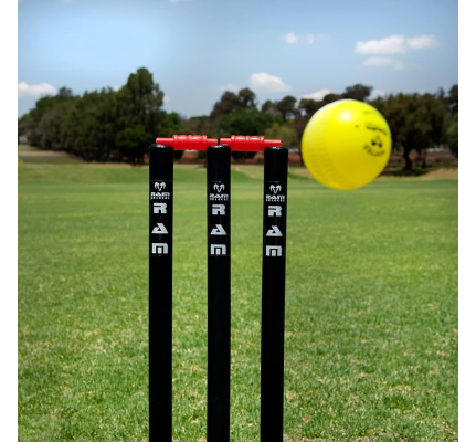 64111__cricket_batting_en_stumps_2