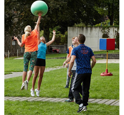 80260-mega-ball-poulle-ball