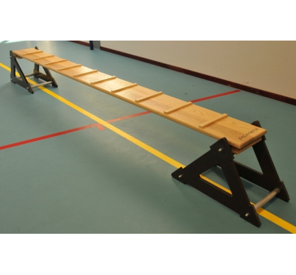 kleutermateriaal-kippenladder