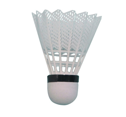 product-image-tube-of-6-white-training-shuttlecocks