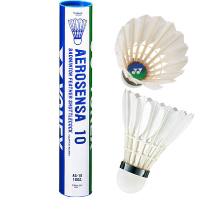 shuttle-aerosensa-10