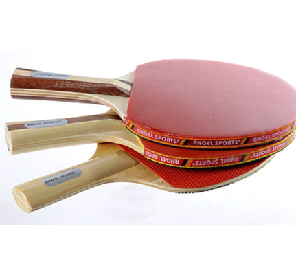 tafeltennisbatjes-leba-2-ster