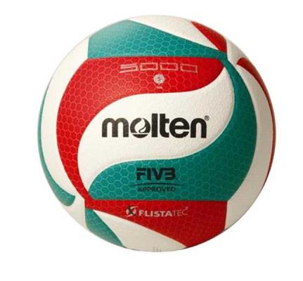 volleybal-m5000--molten-leba
